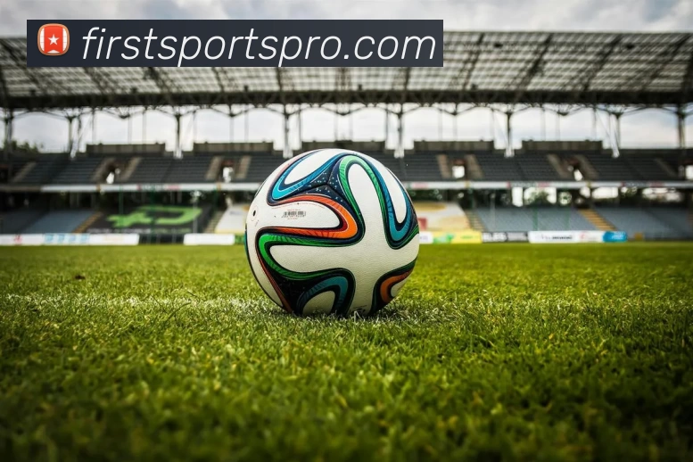 体育营销全站App